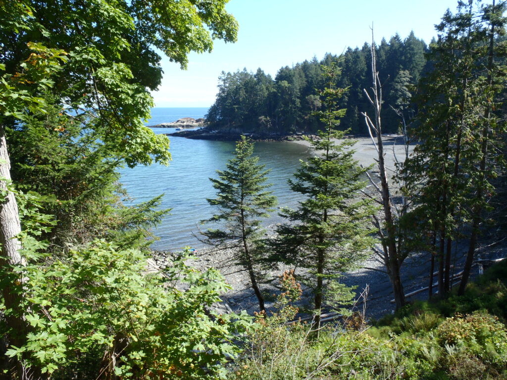 Home olympus digital camera